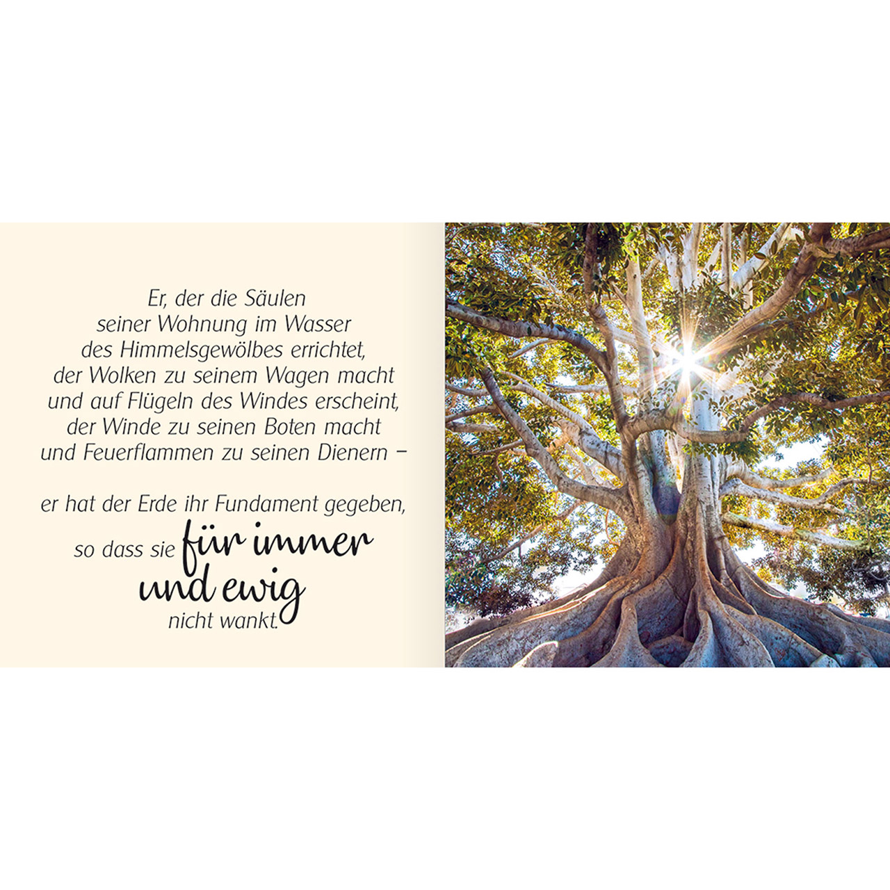 Beispielinhalt (Bild) Ich schenke dir Psalm 104