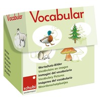 Vorderes Coverbild Vocabular