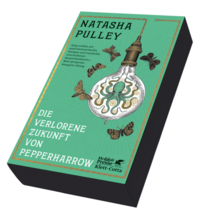 Vorderes Coverbild Die verlorene Zukunft von Pepperharrow