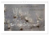 Vorderes Coverbild Zart und Einfühlsam (Wandkalender 2025 DIN A4 quer), CALVENDO Monatskalender