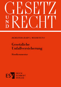 Vorderes Coverbild Gesetzliche Unfallversicherung - Einzelbezug