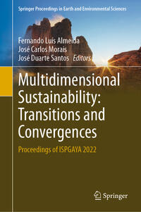 Vorderes Coverbild Multidimensional Sustainability: Transitions and Convergences