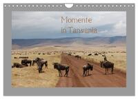 Vorderes Coverbild Momente in Tansania (Wandkalender 2025 DIN A4 quer), CALVENDO Monatskalender