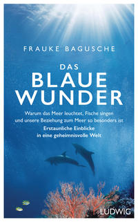 Vorderes Coverbild Das blaue Wunder
