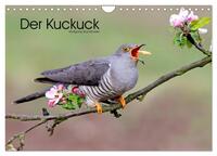 Vorderes Coverbild Der Kuckuck (Wandkalender 2025 DIN A4 quer), CALVENDO Monatskalender