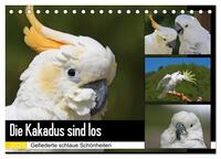 Vorderes Coverbild Die Kakadus sind los (Tischkalender 2025 DIN A5 quer), CALVENDO Monatskalender