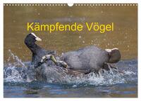 Vorderes Coverbild Kämpfende Vögel (Wandkalender 2025 DIN A3 quer), CALVENDO Monatskalender