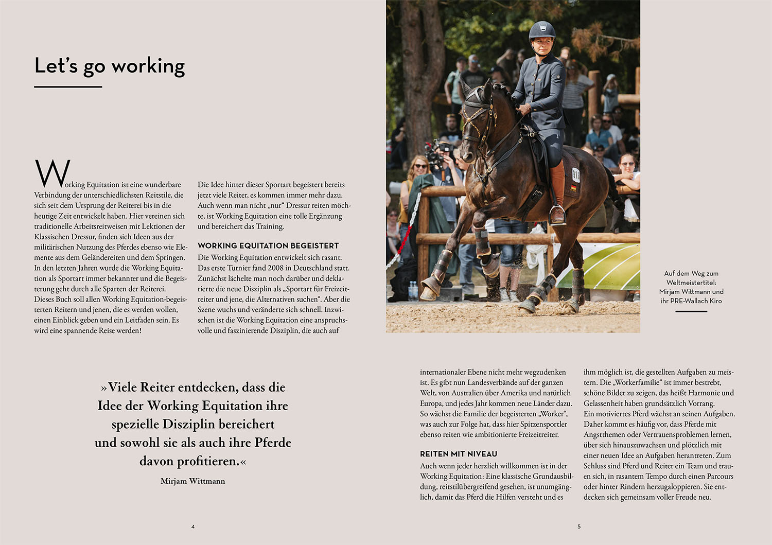 Beispielinhalt (Bild) Working Equitation