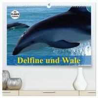 Vorderes Coverbild Delfine und Wale (hochwertiger Premium Wandkalender 2025 DIN A2 quer), Kunstdruck in Hochglanz