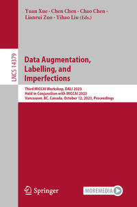 Vorderes Coverbild Data Augmentation, Labelling, and Imperfections