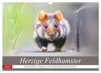 Vorderes Coverbild Herzige Feldhamster - farbenfrohe Nagetiere im städtischen Lebensraum (Wandkalender 2025 DIN A3 quer), CALVENDO Monatskalender
