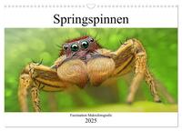 Vorderes Coverbild Faszination Makrofotografie: Springspinnen (Wandkalender 2025 DIN A3 quer), CALVENDO Monatskalender