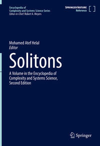 Vorderes Coverbild Solitons