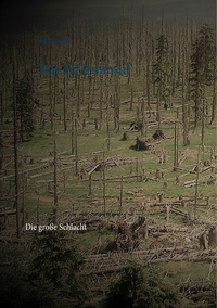 Vorderes Coverbild Das Tal Irminsul