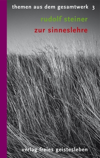 Vorderes Coverbild Zur Sinneslehre