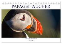 Vorderes Coverbild Papageitaucher: Clowns des Nordatlantik (Tischkalender 2025 DIN A5 quer), CALVENDO Monatskalender