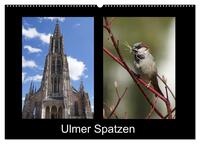 Vorderes Coverbild Ulmer Spatzen (Wandkalender 2025 DIN A2 quer), CALVENDO Monatskalender
