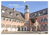 Vorderes Coverbild Reinbek mopsfidel (Wandkalender 2025 DIN A3 quer), CALVENDO Monatskalender