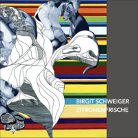 Vorderes Coverbild Birgit Schweiger