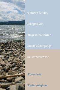 Vorderes Coverbild Faktoren für das Gelingen von Pflegeverhältnissen und des Übergangs ins Erwachsensein