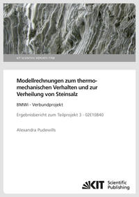 Vorderes Coverbild Modellrechnungen zum thermomechanischen Verhalten und zur Verheilung von Steinsalz: BMWi - Verbundprojekt Ergebnisbericht zum Teilprojekt 3 - 02E10840