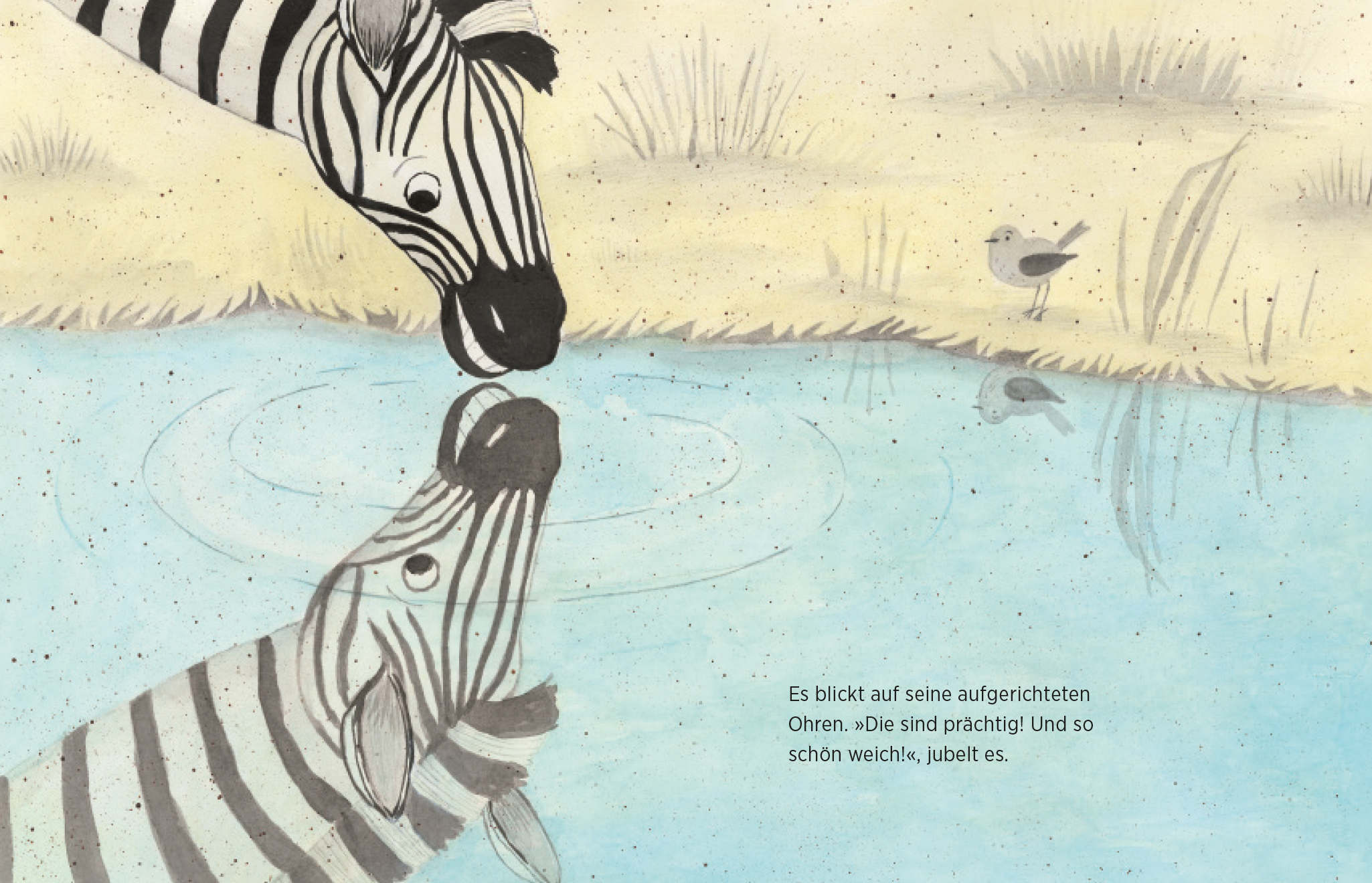 Beispielinhalt (Bild) Das Spiegel-Zebra