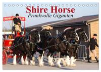 Vorderes Coverbild Shire Horse • Prunkvolle Giganten (Tischkalender 2025 DIN A5 quer), CALVENDO Monatskalender