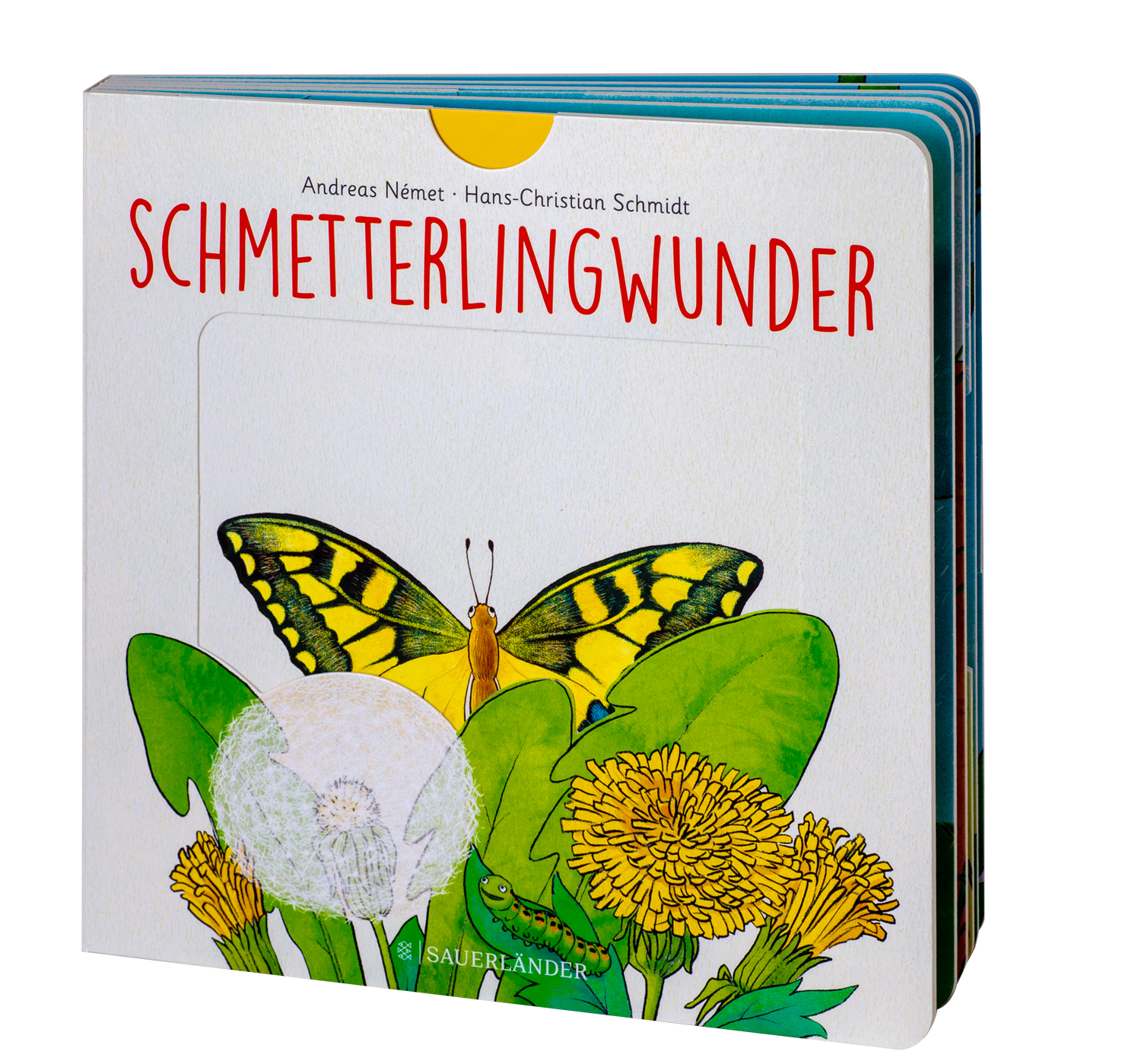 Beispielinhalt (Bild) Schmetterlingwunder