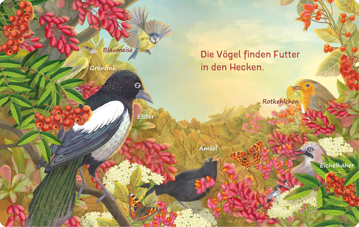 Beispielinhalt (Bild) Es raschelt was im Laub