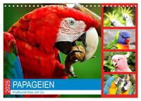 Vorderes Coverbild Papageien. Knallbunte Aras und Co. (Wandkalender 2025 DIN A4 quer), CALVENDO Monatskalender