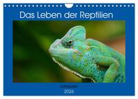 Vorderes Coverbild Das Leben der Reptilien (Wandkalender 2026 DIN A4 quer), CALVENDO Monatskalender