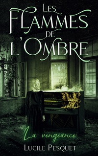 Vorderes Coverbild Les Flammes de l'Ombre