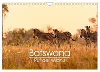 Vorderes Coverbild Botswana - Ruf der Wildnis (Wandkalender 2025 DIN A4 quer), CALVENDO Monatskalender