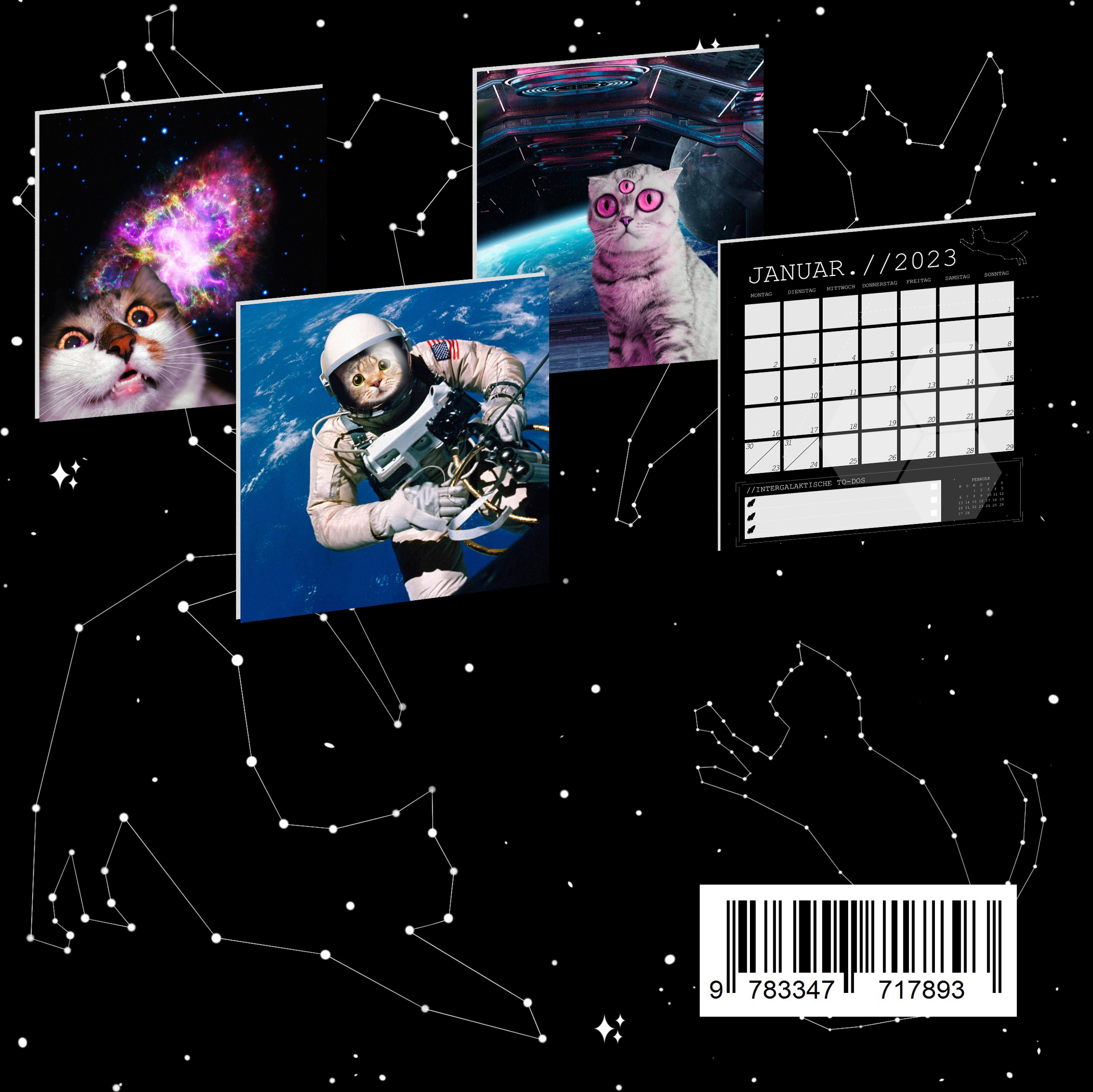 Rückseitencover Cats in Space Kalender 2023