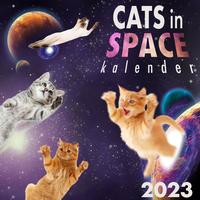 Vorderes Coverbild Cats in Space Kalender 2023