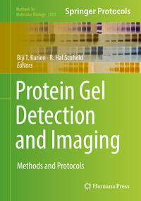Vorderes Coverbild Protein Gel Detection and Imaging