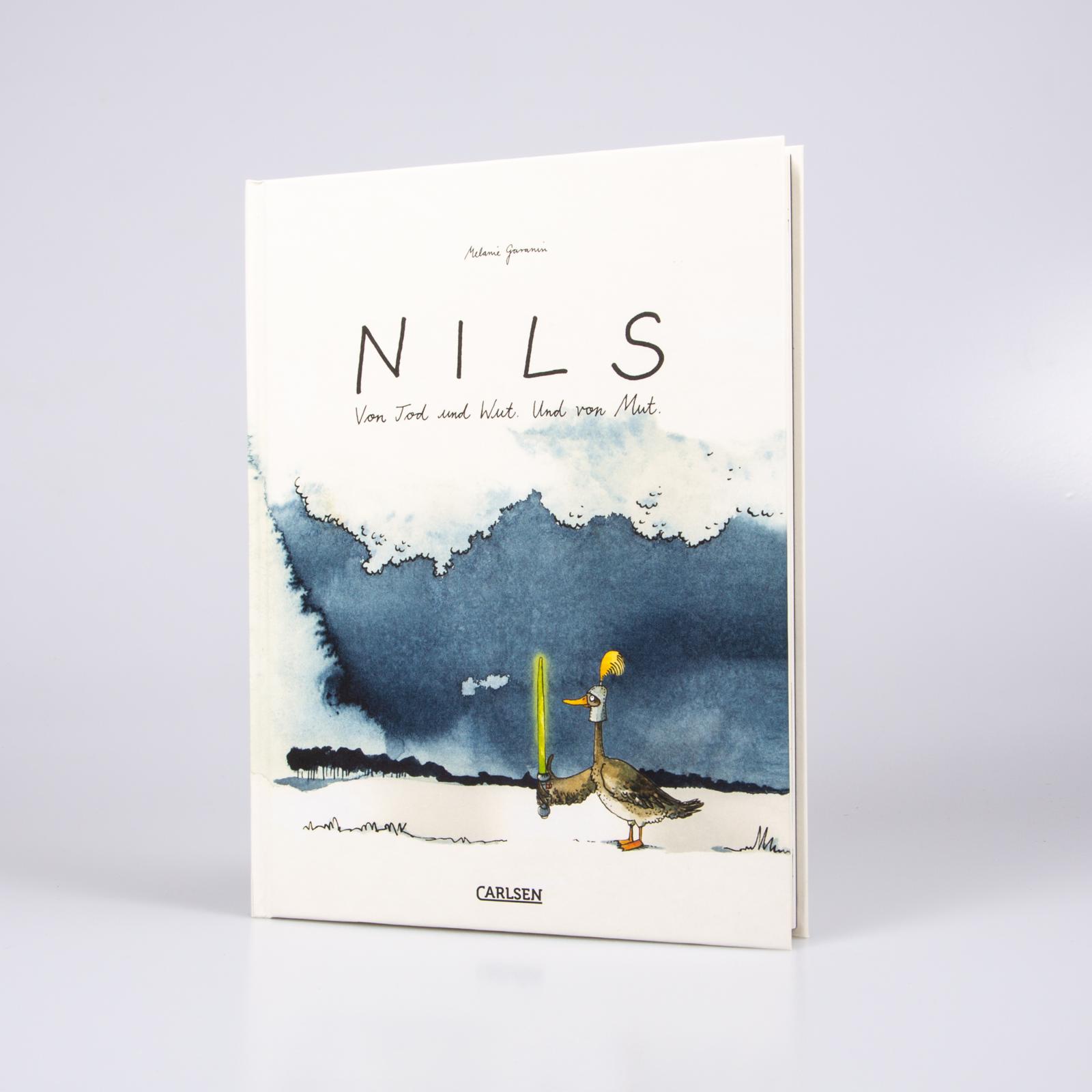 Beispielinhalt (Bild) NILS