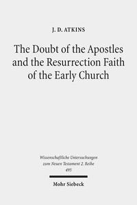 Vorderes Coverbild The Doubt of the Apostles and the Resurrection Faith of the Early Church