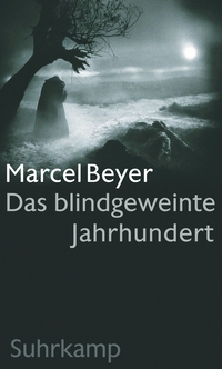 Vorderes Coverbild Das blindgeweinte Jahrhundert