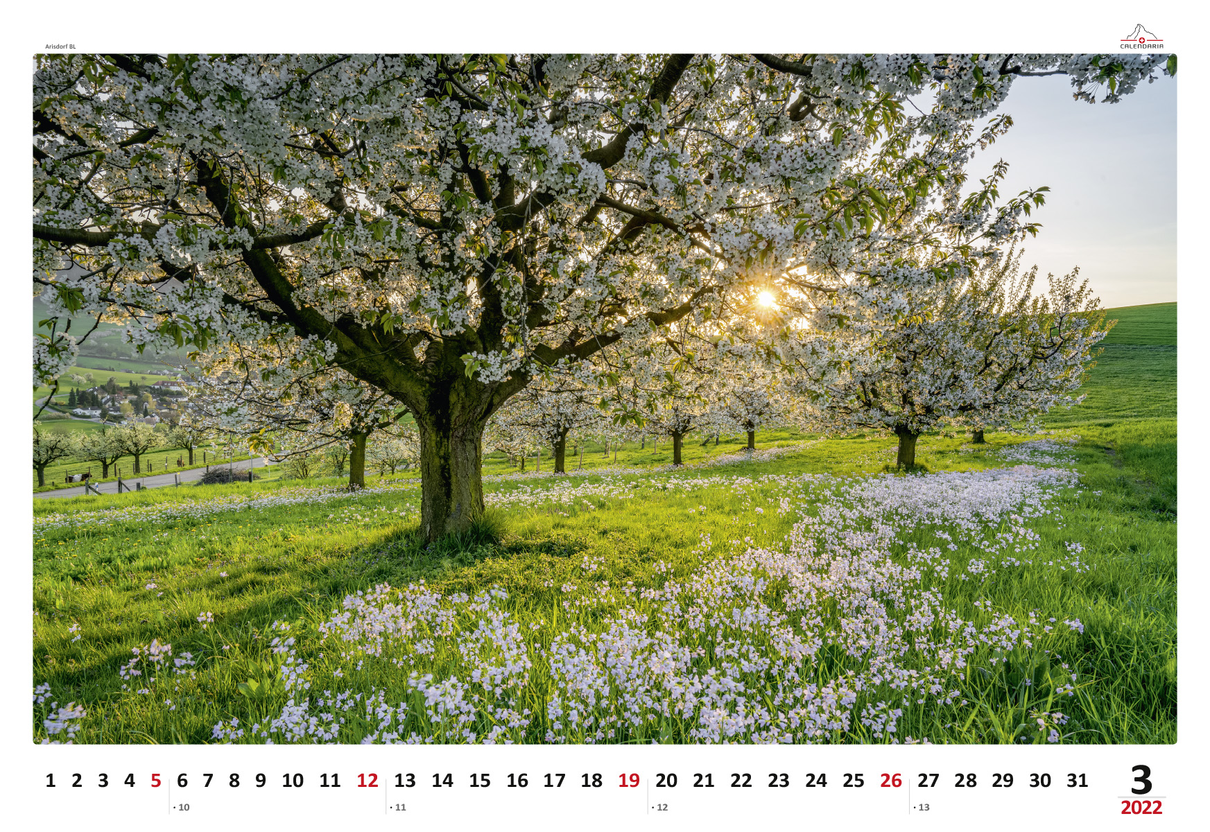 Anderes Coverbild Schweizer Impressionen 2023