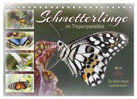 Vorderes Coverbild Schmetterlinge im Tropenparadies (Tischkalender 2025 DIN A5 quer), CALVENDO Monatskalender