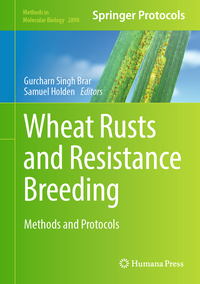 Vorderes Coverbild Wheat Rusts and Resistance Breeding