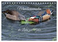 Vorderes Coverbild Mandarinenenten, die Liebe zur Natur (Tischkalender 2026 DIN A5 quer), CALVENDO Monatskalender