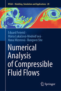 Vorderes Coverbild Numerical Analysis of Compressible Fluid Flows