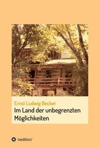 Vorderes Coverbild Im Land der unbegrenzten Möglichkeiten - eine Hommage an die menschliche Vorstellungskraft