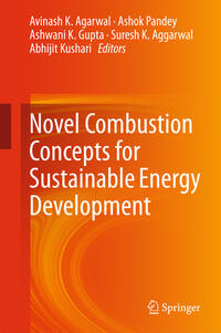 Vorderes Coverbild Novel Combustion Concepts for Sustainable Energy Development