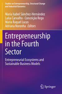 Vorderes Coverbild Entrepreneurship in the Fourth Sector