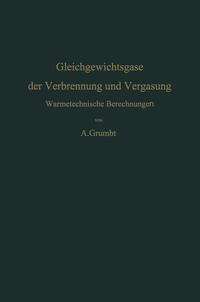 Vorderes Coverbild Gleichgewichtsgase der Verbrennung und Vergasung