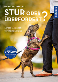 Vorderes Coverbild Stur oder überfordert?
