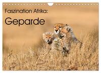 Vorderes Coverbild Faszinaton Afrika: Geparde (Wandkalender 2025 DIN A4 quer), CALVENDO Monatskalender